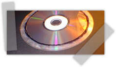 la afoto del d&iacute;a